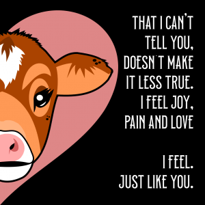 Animals feel, just like you!